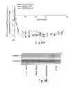 Fig. 07 - RAAV-based compositions and methods for treating alpha-1 anti-trypsin deficiencies