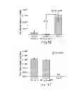 Fig. 11 - RAAV-based compositions and methods for treating alpha-1 anti-trypsin deficiencies
