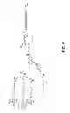 Fig. 06 - Compositions and methods for inhibition of expression of protein C (PROC) genes
