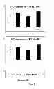 Fig. 07 - COMPOSITION AND METHOD FOR INFLUENCING ENERGY METABOLISM AND TREATING METABOLIC AND OTHER DISORDERS