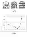 Fig. 02 - PRODUCTION OF THERMOREVERSIBLE HYDROGELS FOR THERAPEUTIC APPLICATIONS