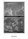 Fig. 07 - Polymer-Grease Compositions and Methods of Making and Using the Same