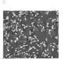 Fig. 05 - Rubber composition