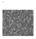 Fig. 04 - Rubber composition