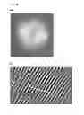 Fig. 03 - SUPRAMOLECULAR STRUCTURE HAVING SUB-NANO SCALE ORDERING