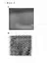 Fig. 13 - SUPRAMOLECULAR STRUCTURE HAVING SUB-NANO SCALE ORDERING