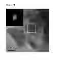 Fig. 16 - SUPRAMOLECULAR STRUCTURE HAVING SUB-NANO SCALE ORDERING