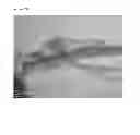 Fig. 18 - SUPRAMOLECULAR STRUCTURE HAVING SUB-NANO SCALE ORDERING