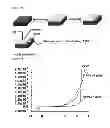 Fig. 22 - SUPRAMOLECULAR STRUCTURE HAVING SUB-NANO SCALE ORDERING