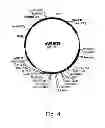 Fig. 05 - Methods for producing secreted polypeptides having biological activity
