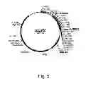 Fig. 06 - Methods for producing secreted polypeptides having biological activity