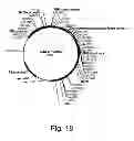 Fig. 19 - Methods for producing secreted polypeptides having biological activity