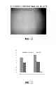 Fig. 17 - Manufacturing and purification processes of Complex protein found in Fraction IV to make a separated Apo, Transferrin, and Alpha 1 Antitrypsin (A1AT) or a combined Transferrin/Apo/Human Albumin/A1AT and all new found proteins