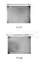 Fig. 20 - Manufacturing and purification processes of Complex protein found in Fraction IV to make a separated Apo, Transferrin, and Alpha 1 Antitrypsin (A1AT) or a combined Transferrin/Apo/Human Albumin/A1AT and all new found proteins