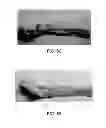 Fig. 55 - Manufacturing and purification processes of Complex protein found in Fraction IV to make a separated Apo, Transferrin, and Alpha 1 Antitrypsin (A1AT) or a combined Transferrin/Apo/Human Albumin/A1AT and all new found proteins