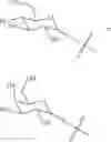 Fig. 07 - Synthesis of carbohydrate-based surfactants