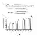 Fig. 04 - Therapeutic compounds