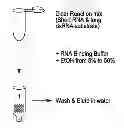 Fig. 01 - COMPOSITIONS AND METHODS FOR PREPARING SHORT RNA MOLECULES AND OTHER NUCLEICACIDS