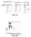 Fig. 06 - COMPOSITIONS AND METHODS FOR PREPARING SHORT RNA MOLECULES AND OTHER NUCLEICACIDS