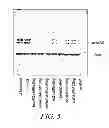 Fig. 07 - COMPOSITIONS AND METHODS FOR PREPARING SHORT RNA MOLECULES AND OTHER NUCLEICACIDS