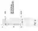 Fig. 11 - COMPOSITIONS AND METHODS FOR PREPARING SHORT RNA MOLECULES AND OTHER NUCLEICACIDS