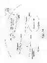 Fig. 16 - COMPOSITIONS AND METHODS FOR PREPARING SHORT RNA MOLECULES AND OTHER NUCLEICACIDS