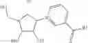 Fig. 15 - ENZYMATIC SYNTHESIS OF CARBA-NAD