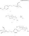 Fig. 08 - (Meth)allylsilane compound, silane coupling agent therefor, and functional material using same