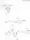 Fig. 15 - (Meth)allylsilane compound, silane coupling agent therefor, and functional material using same