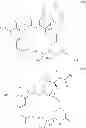 Fig. 10 - Methods for the acylation of maytansinol