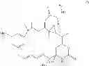 Fig. 22 - Methods for the acylation of maytansinol