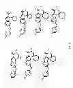 Fig. 06 - CDK inhibitors