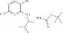 Fig. 110 - CDK inhibitors