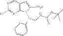 Fig. 134 - CDK inhibitors