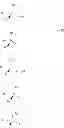 Fig. 04 - P-chirogenic organophosphorus compounds