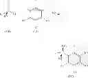 Fig. 19 - P-chirogenic organophosphorus compounds