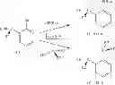 Fig. 40 - P-chirogenic organophosphorus compounds