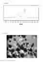 Fig. 04 - Catalyst support and process for the preparation thereof