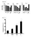 Fig. 04 - NOVEL ANILINE DERIVATIVES AND USE THEREOF