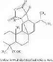 Fig. 11 - Oligomeric rosin esters for use in inks