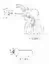 Fig. 23 - MINIMALLY INVASIVE DETERMINATION OF COLLATERAL VENTILATION IN LUNGS
