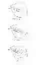 Fig. 24 - MINIMALLY INVASIVE DETERMINATION OF COLLATERAL VENTILATION IN LUNGS