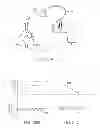 Fig. 26 - MINIMALLY INVASIVE DETERMINATION OF COLLATERAL VENTILATION IN LUNGS