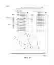 Fig. 30 - MINIMALLY INVASIVE DETERMINATION OF COLLATERAL VENTILATION IN LUNGS