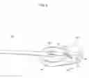 Fig. 06 - Face massaging device