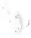Fig. 08 - Elbow orthosis