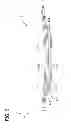 Fig. 10 - Body adhering absorbent article