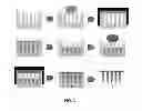 Fig. 02 - Mechanically robust fast-dissolving microneedles for transdermal drug and vaccine delivery