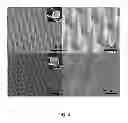 Fig. 05 - Mechanically robust fast-dissolving microneedles for transdermal drug and vaccine delivery