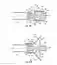 Fig. 05 - Drug delivery device and adaptor